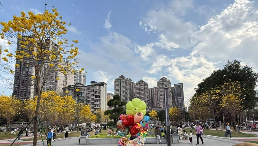2025澳门六开奖结果资料查询,美国13州将提起诉讼阻止马斯克,最新答案解释落实_试用版V14.30
