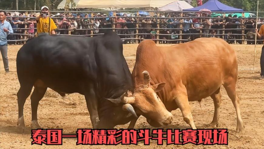 戒烟700天 我经历了什么,2025奥门码开奖结果香港王中王,全面解答解释落实_破例版V2.27